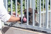 Foto: El Ayuntamiento de Sevilla afea el "alarmismo irresponsable" del PSOE con el Zoosanitario: "se planifica e invierte más"