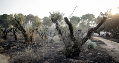 Medio Ambiente