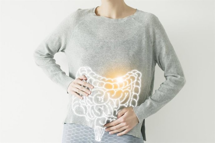 Archivo - Intestinos.