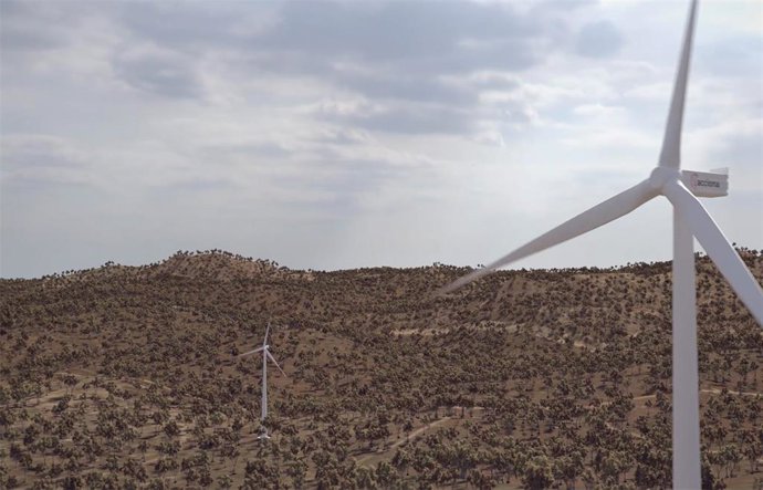 Archivo - Parque eólico de Acciona Energía.