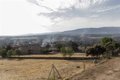 La Junta cifra en 3.181 hectáreas las afectadas por el incendio de Brieva (Segovia)