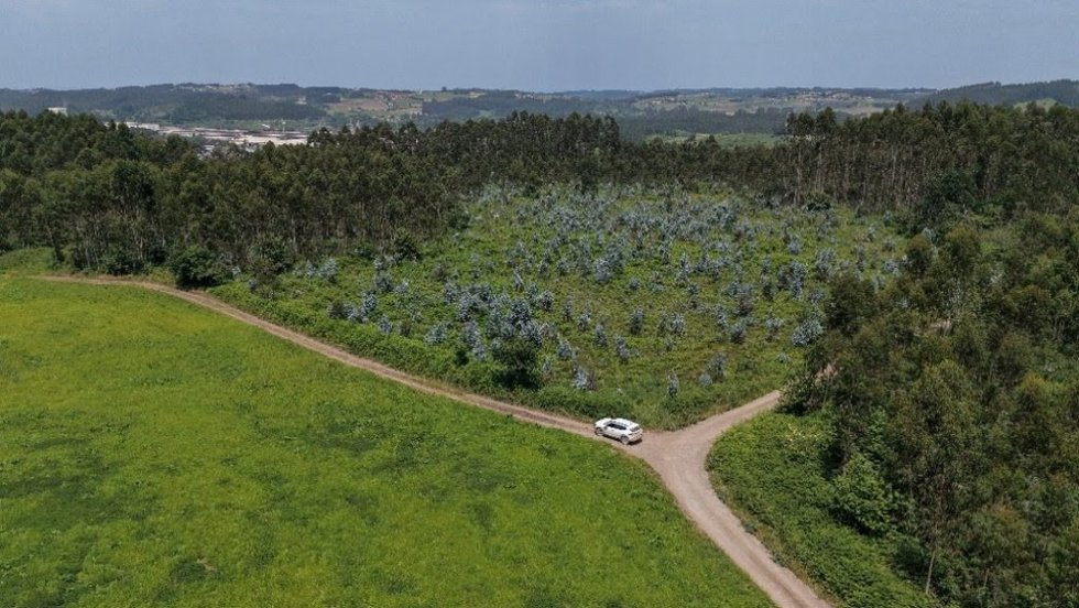 Zona en la que Red Eléctrica iniciará las obras del Anillo eléctrico Central de Asturias con la subestación de Cardoso