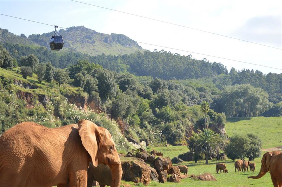 Imagen del Parque de la Naturaleza de Cabarceno