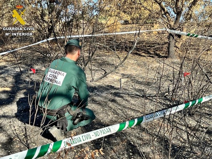 Incendio forestal en Talarrubias
