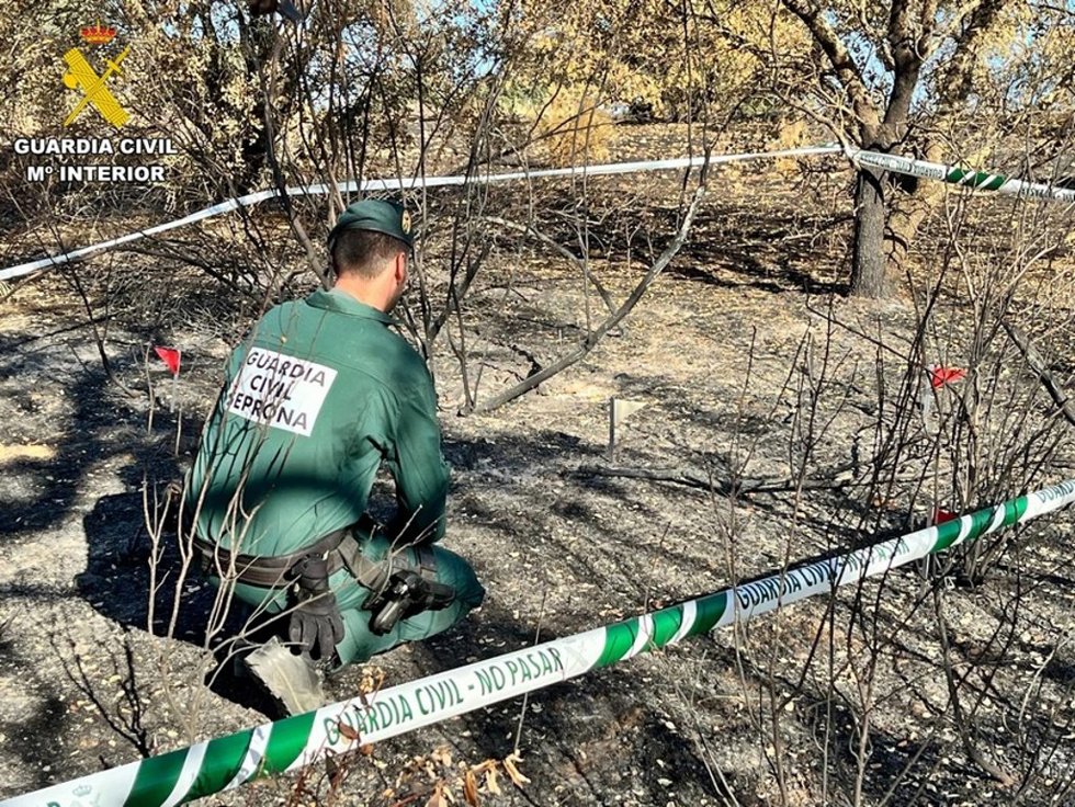 Incendio forestal en Talarrubias
