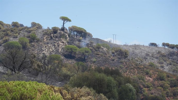 Imagen del incendio en Cerro Muriano (Córdoba) a 25 de julio de 2026 en Cerro Muriano (Córdoba, Andalucía, España)