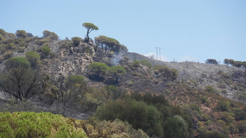 Imagen del incendio en Cerro Muriano (Córdoba) a 25 de julio de 2026 en Cerro Muriano (Córdoba, Andalucía, España)