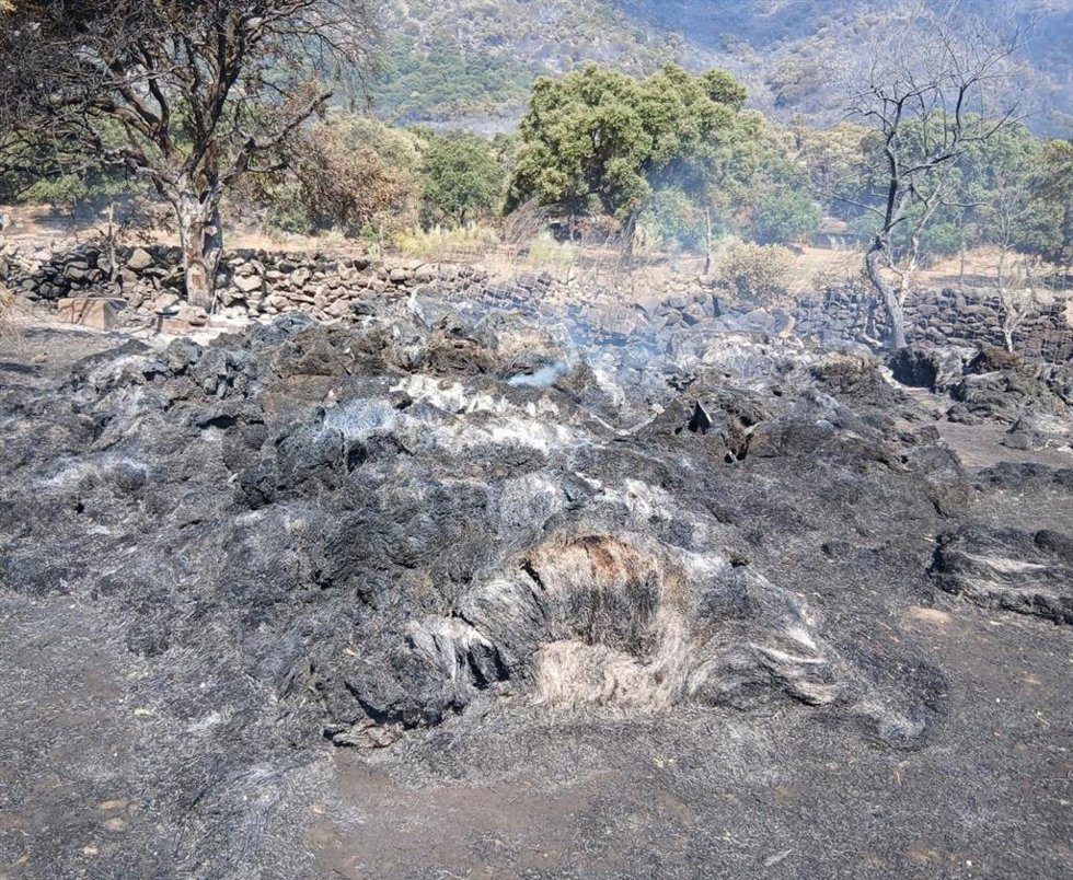 UGAMA moviliza ayuda urgente para los ganaderos afectados por el incendio de la Sierra Oeste y traslada sus necesidades a la Administración.