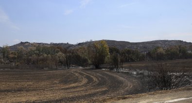 Aragón