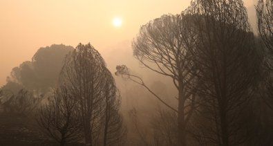 Galicia Rural