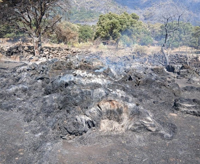 UGAMA moviliza ayuda urgente para los ganaderos afectados por el incendio de la Sierra Oeste y traslada sus necesidades a la Administración.