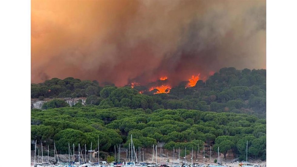 Incendio forestal.