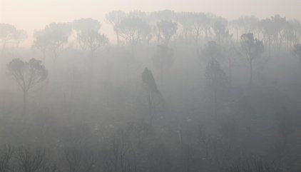 Interior lanza un EsAlert para desalojar Valdemaqueda ante el avance del incendio de la Sierra Oeste