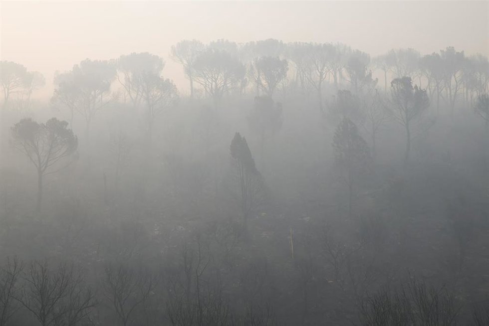 Vista del humo del incendio forestal