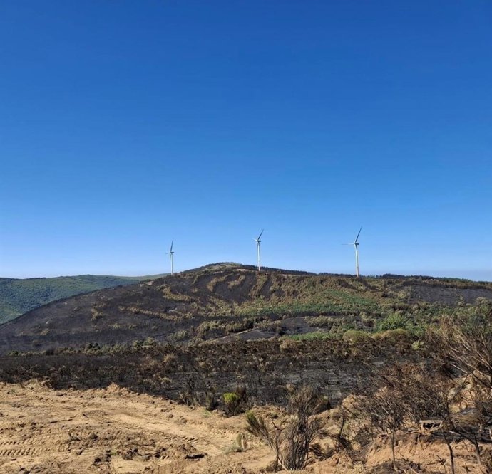 Zona afectada por el incendio de Murias de Ponjos (León).