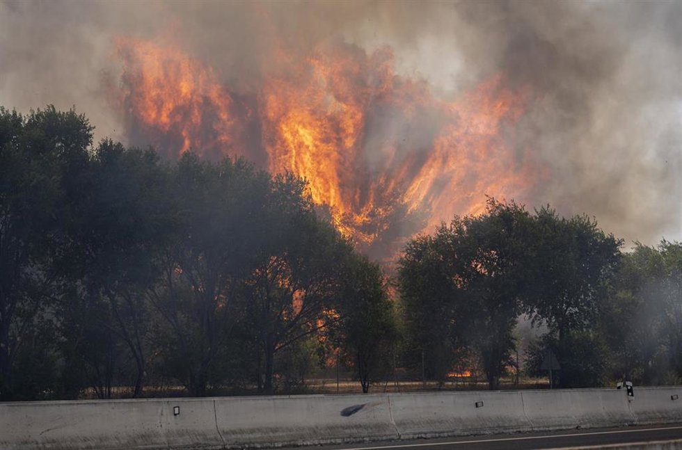 Incendio forestal