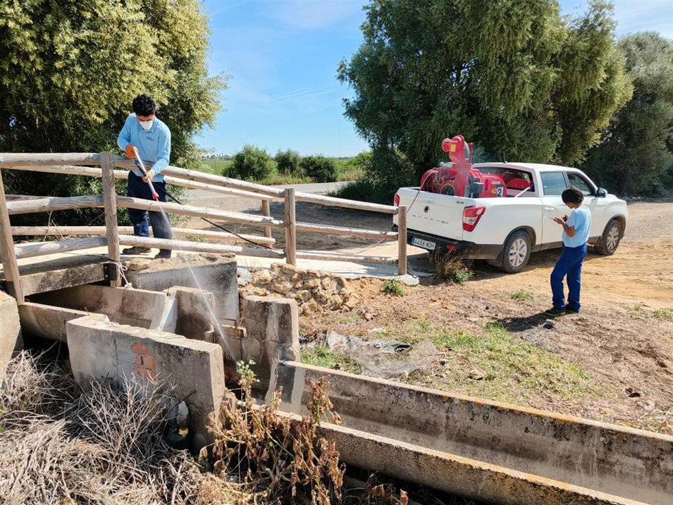 Archivo - Imagen de Archivo de labores de muestreo de larvas de mosquitos en la provincia.