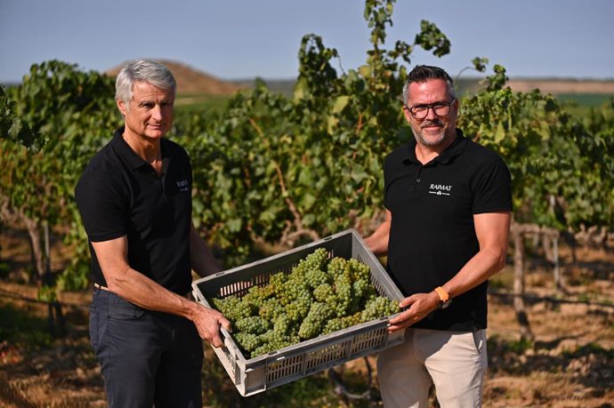 Joan Esteve, director de Raimat, y Carles Escolar, enólogo de la bodega, en los viñedos