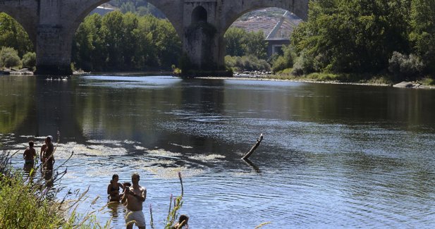 Galego