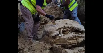 Hallan restos de una tortuga de más de 15 millones de años en las obras en un edificio del Ayuntamiento de Madrid