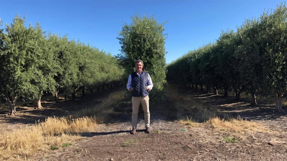 Proyectos agrícolas pierden valor por errores de planificación, según Curro López experto en Due Diligence