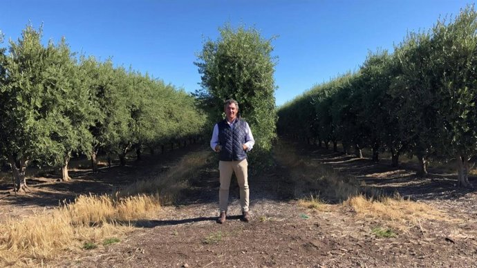 Proyectos agrícolas pierden valor por errores de planificación, según Curro López experto en Due Diligence