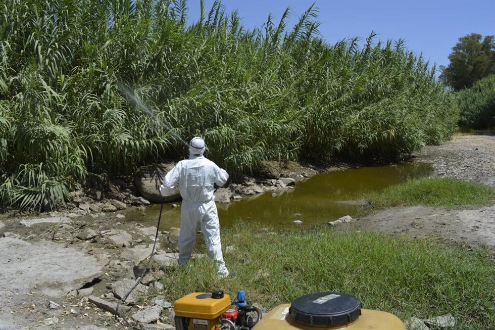 Un operario de la empresa Serviplaga, realizando labores de prevención contra la plaga de mosquitos en Mijas.