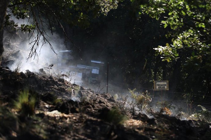 Zona quemada por el incendio forestal, a 24 de julio de 2026, en Murias de Ponjos (León).