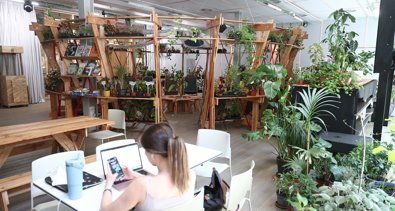 Medio Ambiente