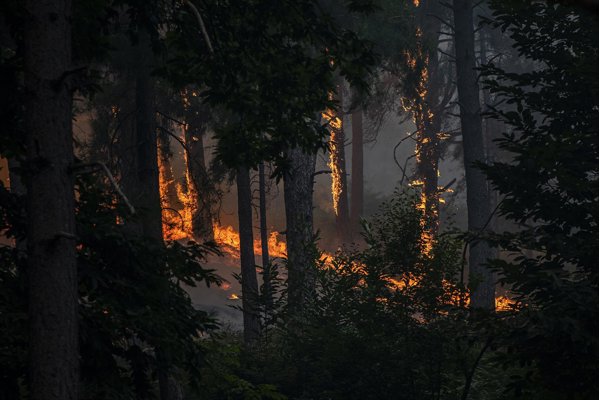 Medio Ambiente