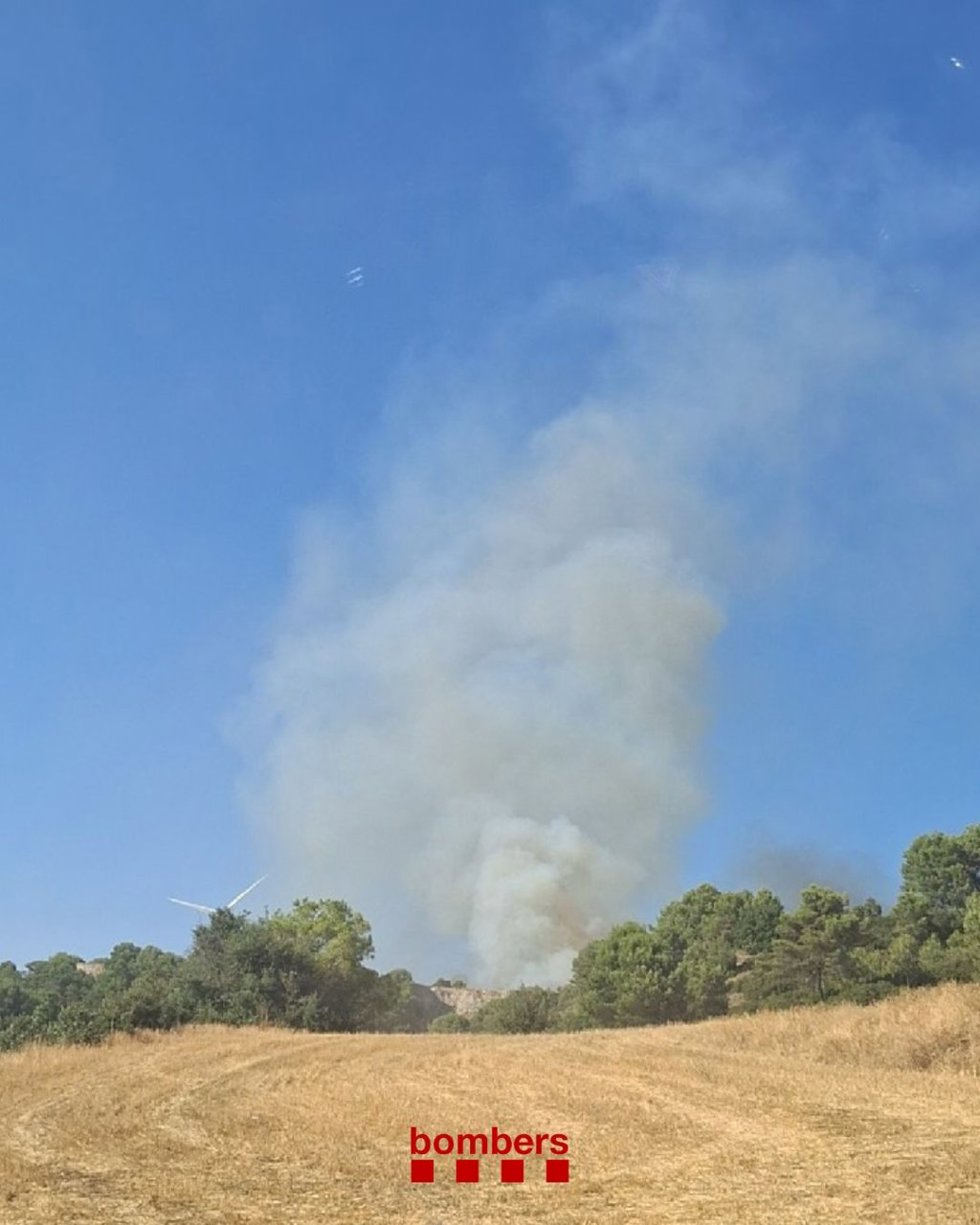 Incendio declarado en Santa Coloma de Queralt (Tarragona)