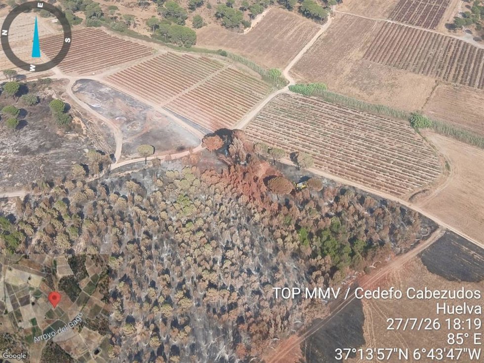 Incendio en el paraje Buenavista de Lucena del Puerto (Huelva).