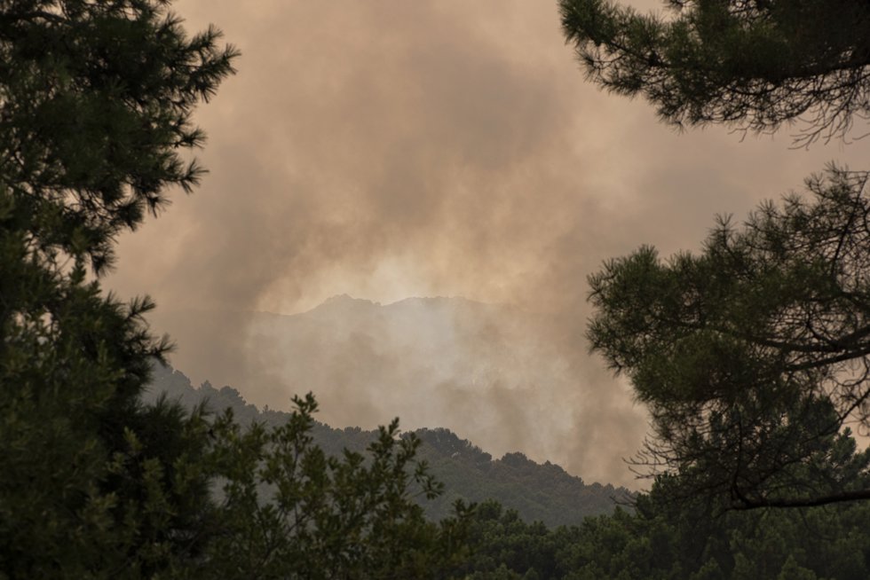Vista del incendio cerca de la Charca de la Nieta, a 26 de julio de 2026, en Piedralaves, Ávila, Castilla y León (España).