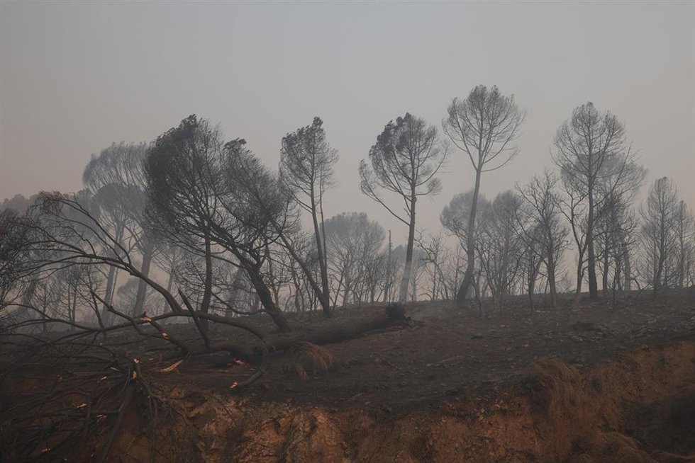 Vista del humo del incendio forestal, a 27 de julio de 2026, en Navas del Rey, Madrid (España). Los incendios forestales que afectan a la Comunidad de Madrid han reducido su avance durante la noche, una evolución que ha permitido a los medios de extinción