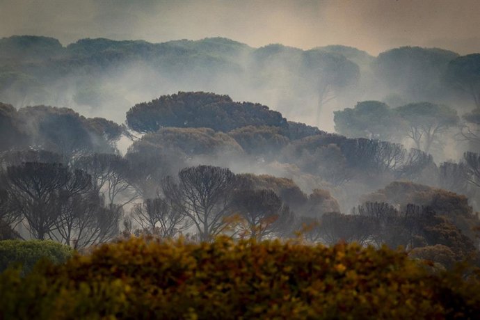 Vista del incendio forestal, a 25 de julio de 2026, en San Martín de Valdeiglesias, Madrid (España). Durante la noche ha beneficiado el cambio de condiciones meteorológicas, con menos viento, mayor humedad y menos temperatura, aunque el fuego sigue activo