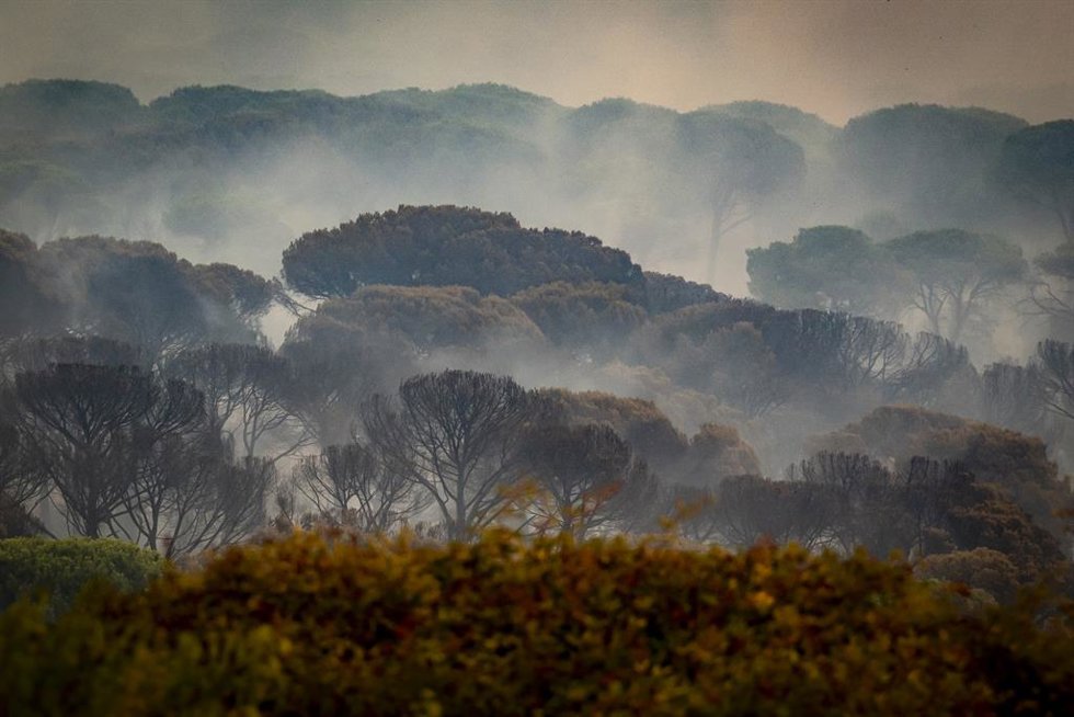 Vista del incendio forestal, a 25 de julio de 2026, en San Martín de Valdeiglesias, Madrid (España). Durante la noche ha beneficiado el cambio de condiciones meteorológicas, con menos viento, mayor humedad y menos temperatura, aunque el fuego sigue activo