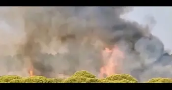 Declarado un incendio forestal en Lepe (Huelva) próximo a la urbanización Islantilla Golf