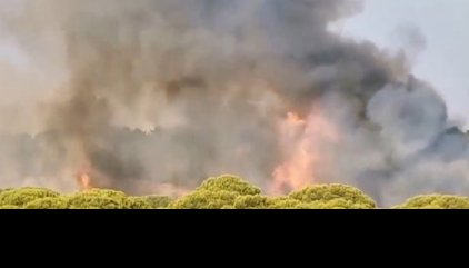 Declarado un incendio forestal en Lepe (Huelva) próximo a la urbanización Islantilla Golf