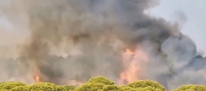 Incendio forestal declarado en Lepe (Huelva) próximo a la urbanización Islantilla Golf