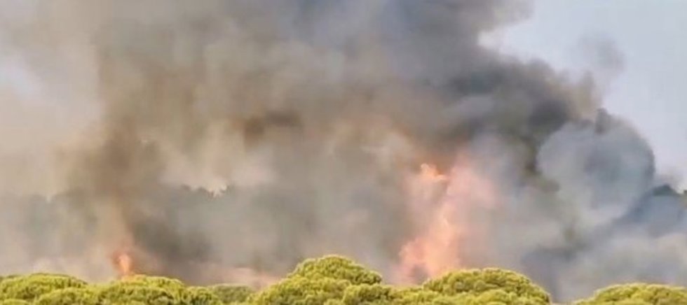 Incendio forestal declarado en Lepe (Huelva) próximo a la urbanización Islantilla Golf