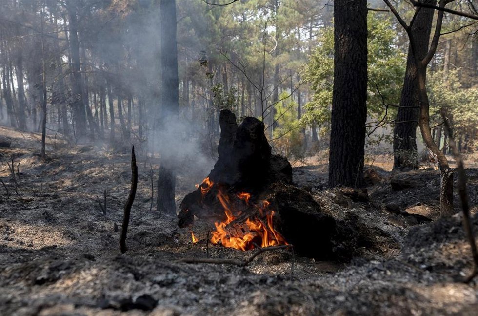 Puntos calientes tras el paso del incendio forestal, a 27 de julio de 2026, en Casillas, Ávila, Castilla y León (España). El incendio forestal de Burgohondo (Ávila) ha calcinado 55000 hectáreas convirtiéndose en el mayor incendio registrado en España. Act