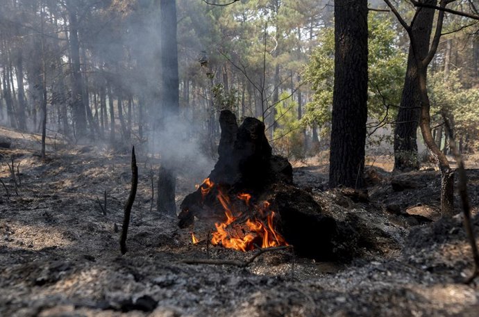 Pontos críticos após a passagem do incêndio florestal, em 27 de julho de 2026, em Casillas, Ávila, Castela e Leão (Espanha). O incêndio florestal de Burgohondo (Ávila) consumiu 55.000 hectares, tornando-se o maior incêndio já registrado na Espanha. Lei