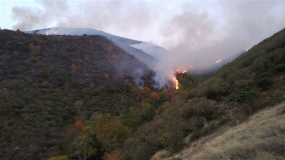 Archivo - Imagen de archivo de incendio forestal en La Rioja.