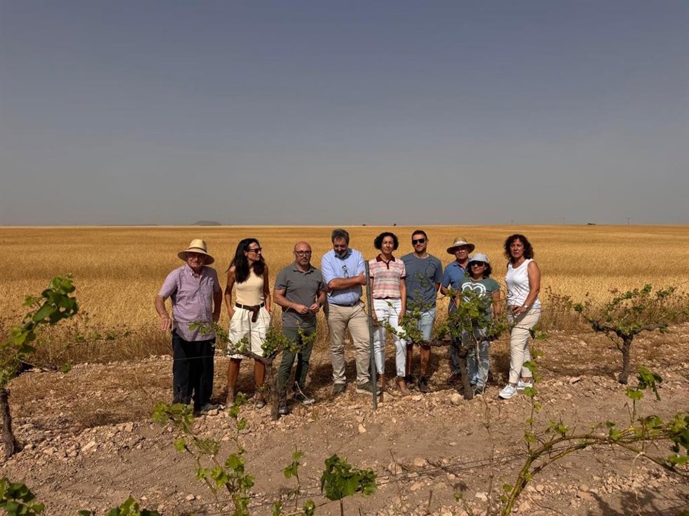 El Delegado Provincial De Agricultura, Ganadería Y Desarrollo Rural En Albacete, Ramón Sáez, Ha Visitado Parcelas De Viñedo Afectadas Por El Brote De Langosta Mediterránea En La Zona Esteparia Del Este De Albacete.
