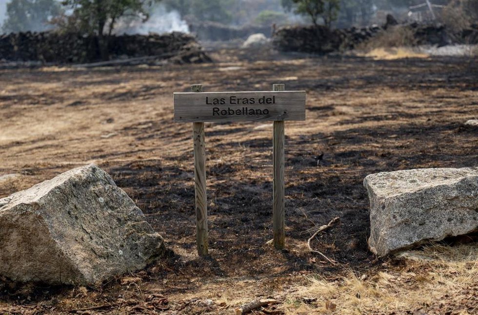 Zonas calcinadas tras el paso del incendio forestal