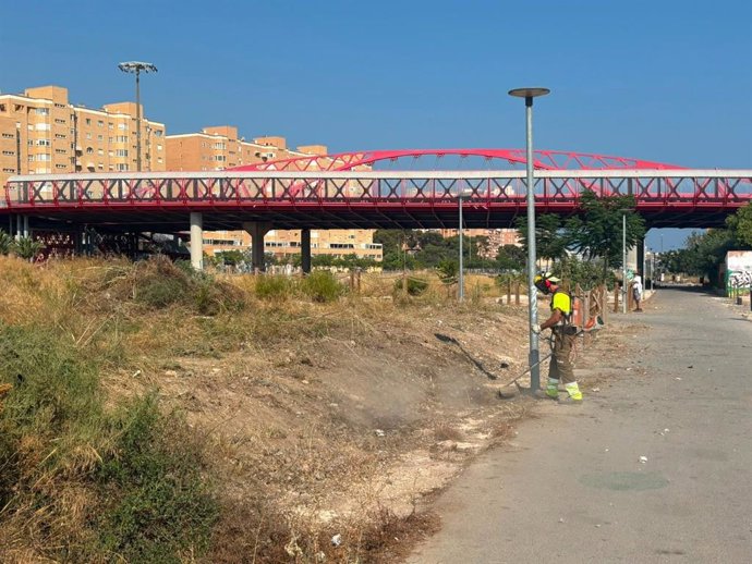 Puente assenyala que comencen els "primers treballs" de neteja en la zona del futur Parc Central