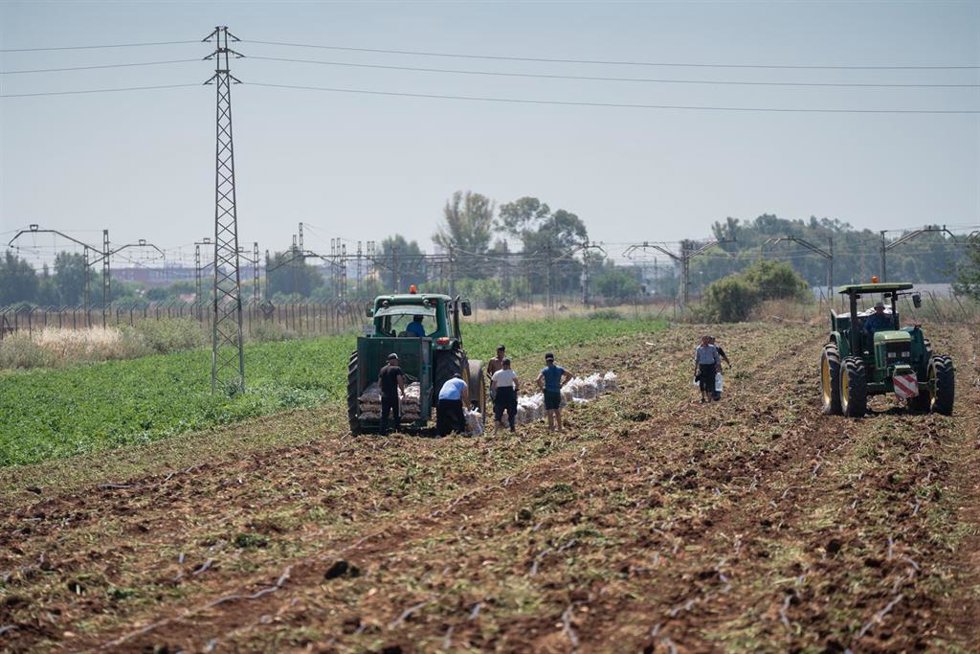 Archivo - CCOO valora un registro positivo de la EPA en el empleo del sector agrario, pero continúa la brecha de género.