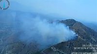 Declarado un incendio forestal en un paraje de El Borge (Málaga)