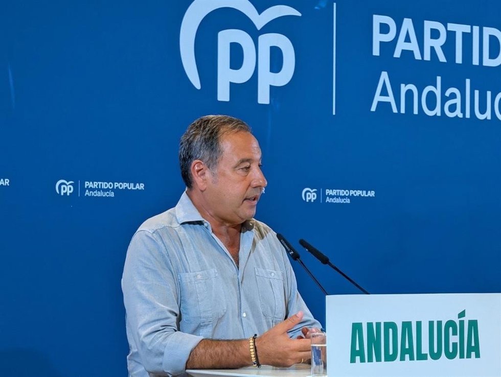 El presidente del Partido Popular de Sevilla, Ricardo Sánchez, en una rueda de prensa del partido.