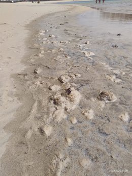 Contaminación en la zona de La Punta del Camello, junto al aliviadero del Consorcio del Agua de Lanzarote, Arrecife (Lanzarote)